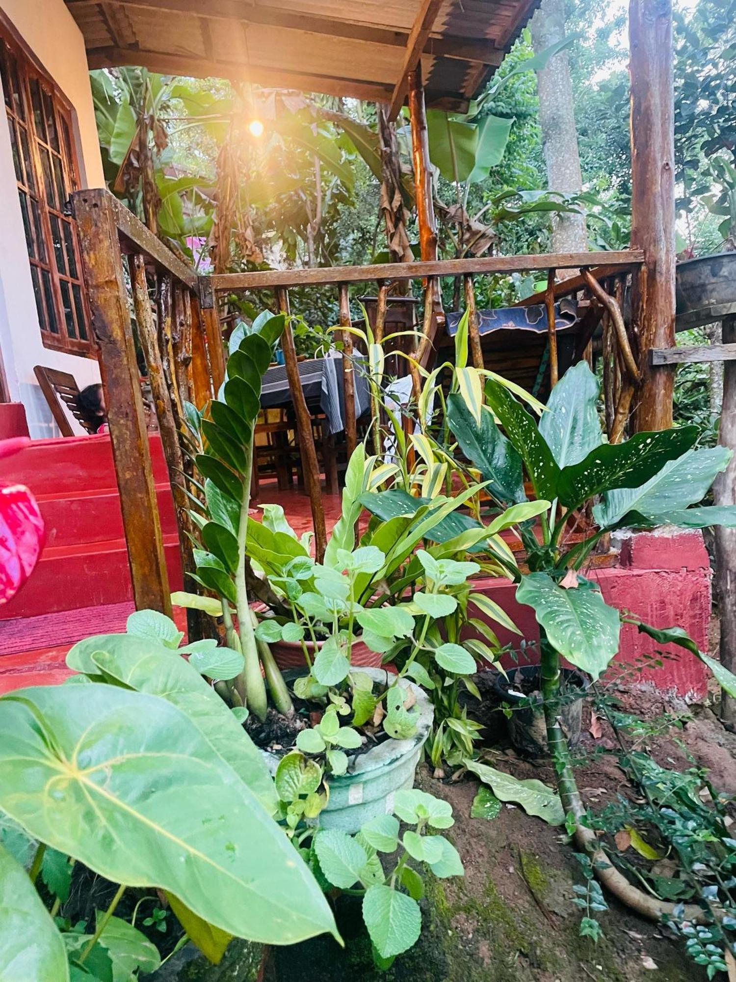 Hidden Gem Inn เอลลา ภายนอก รูปภาพ