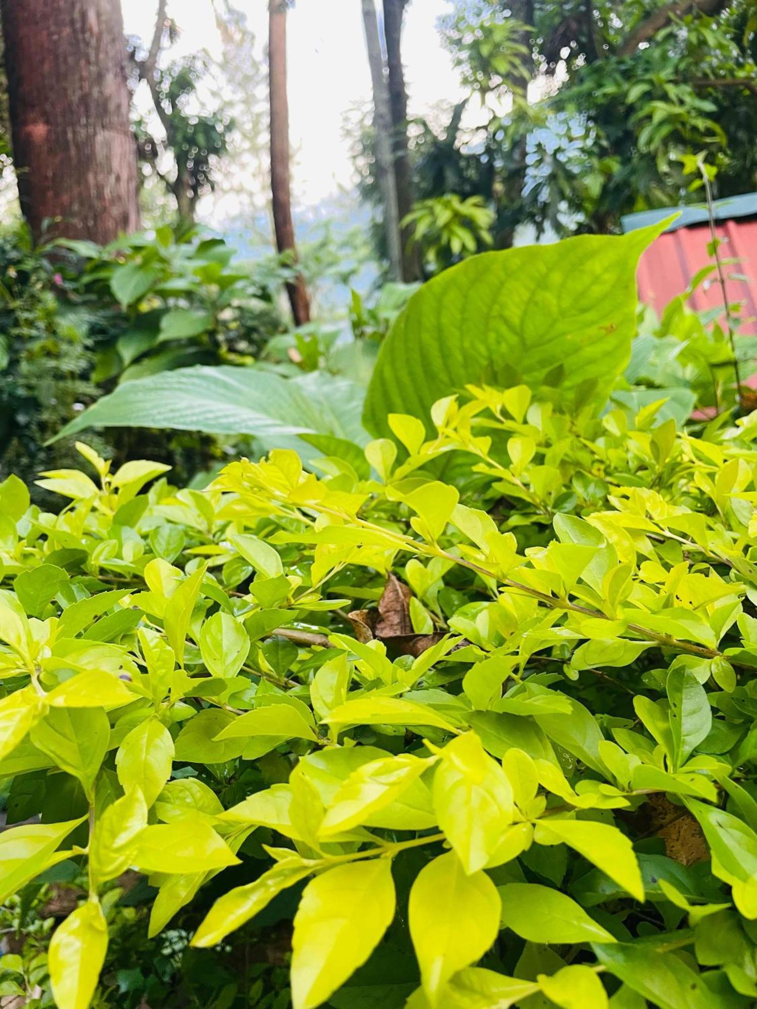Hidden Gem Inn เอลลา ภายนอก รูปภาพ